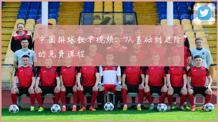 中国排球教学视频:从基础到进阶的免费课程