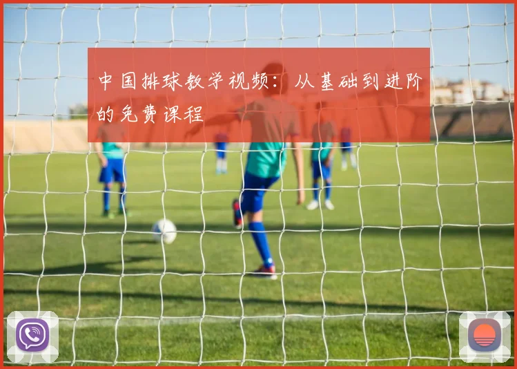中国排球教学视频：从基础到进阶的免费课程